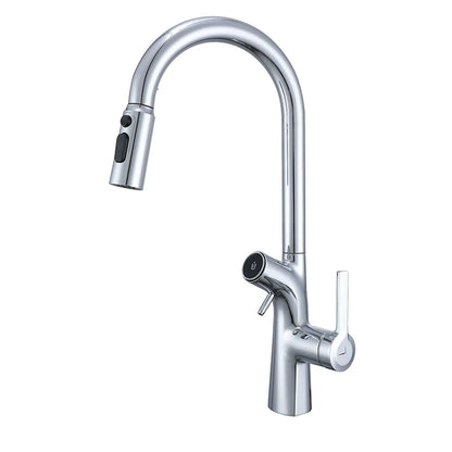 VGX Gold Wasserfilter Küchenarmatur mit Doppelauslauf, Reines Trinkwasser, Ausziehbarer Spültischmischer, Gourmet-Küchenarmatur
