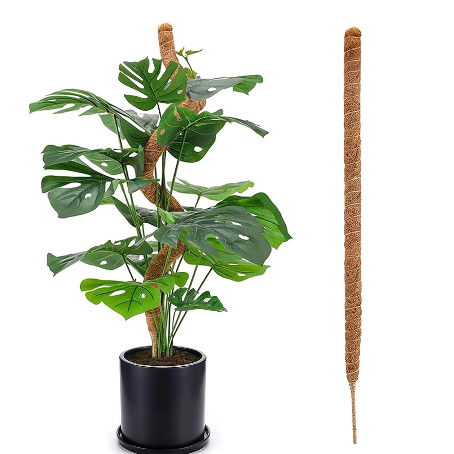 Pflanzenstütze Moosstange Kokosfaser-Kletterstäbe Biegbarer Verlängerungsstab für Monstera, Gründill und Rankpflanzen im Innenbereich – Gartenzubehör