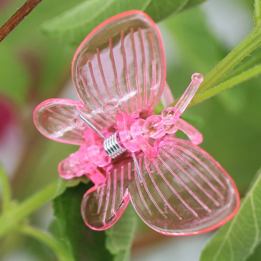 50/100pcs Orchideen clips Schmetterlings klemmen Garten pflanzen Rebe Klettern feste Unterstützung bunte Kunststoff dekorative Bonsai Dekoration