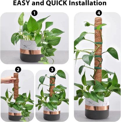 5/10 Stück Pflanzen-Moos-Coir-Stange, Kletterhilfe für Pflanzen, Verlängerung für Palmenranken, Stab für Innenbereich, Balkon, Garten, Hof, Blumendekoration