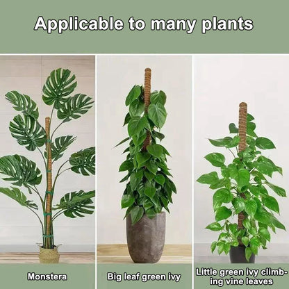 1 Stück Moosstangen für Pflanzen, biegbare Kletterpflanzenstützen für Monstera, Kokosfaser-Pflanzenstützen für den Innenbereich, Gartenrankhilfen, Pflanzenstäbe