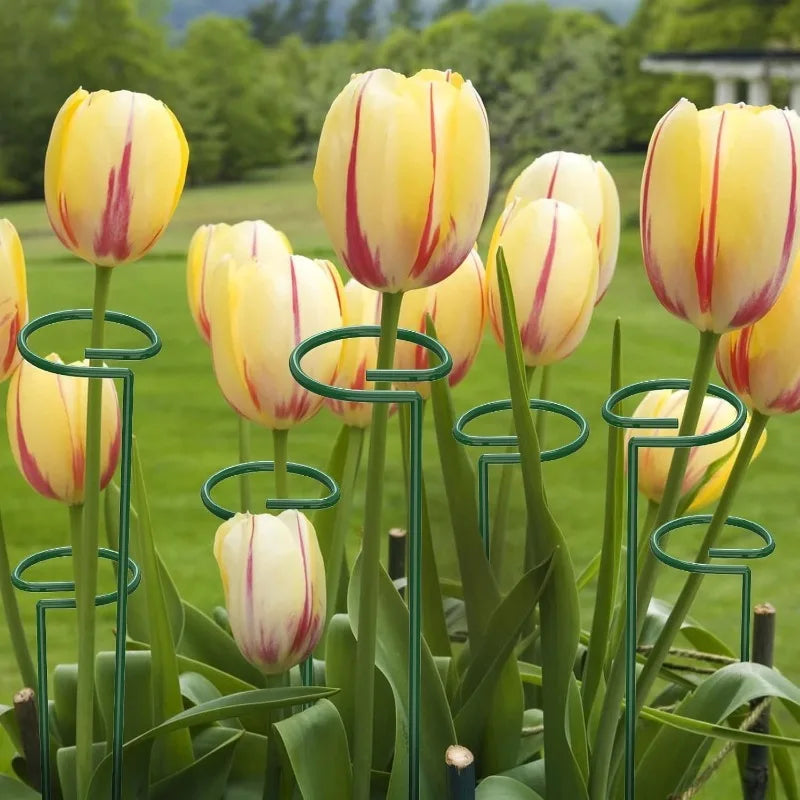 35/45/55 cm Gartenstütze Pfahlring Metall Gartenpflanzenstütze Einzelstamm Strauchhalter für Pflanzen Rose Blumen Gemüse Rebe