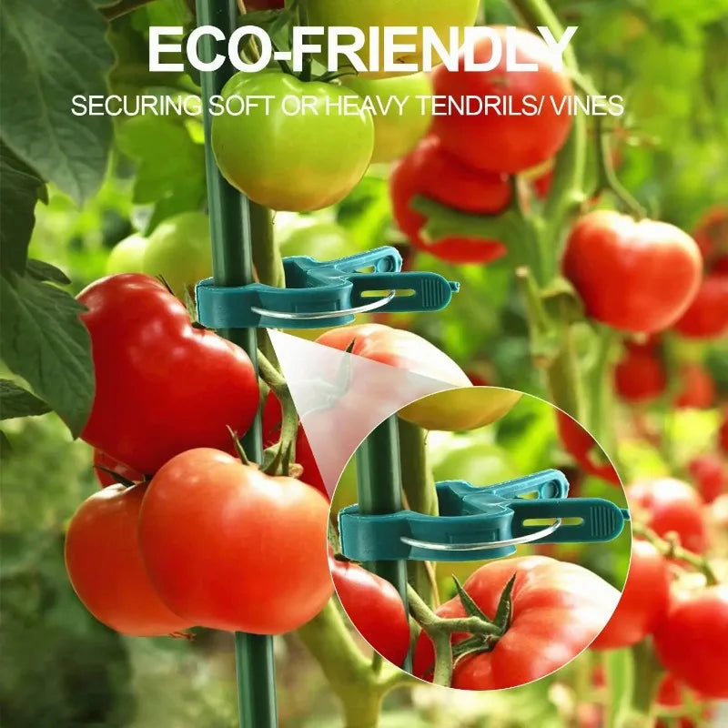 Rattan-Pflanzenstützclips Garten-Pflanzenclips Halter für Pflanzenstiele Mehrzweck-Pflanzenclips Robuste Gurkenclips Pflanzenstütze